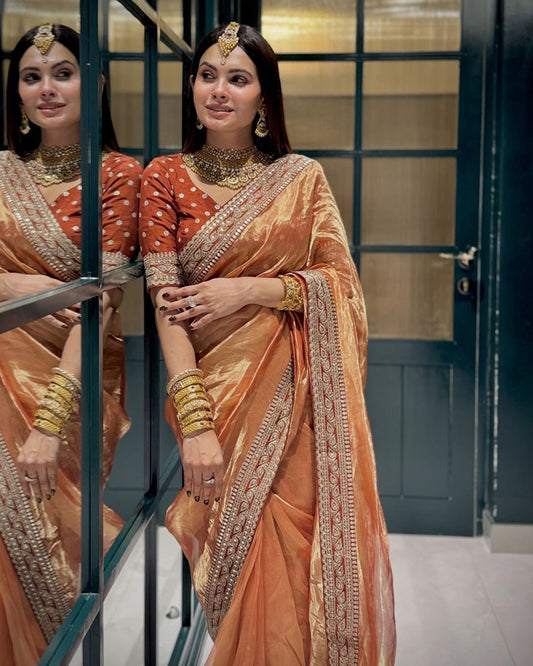 Brown Color Soft Twil Net Embroidered Saree