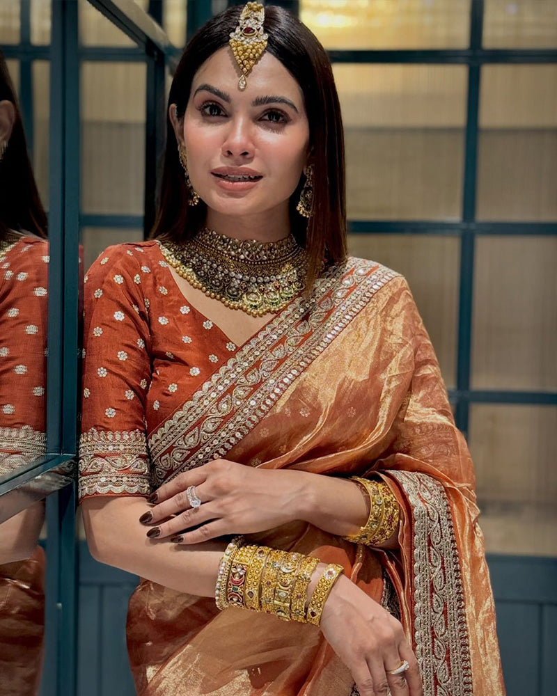 Brown Color Soft Twil Net Embroidered Saree