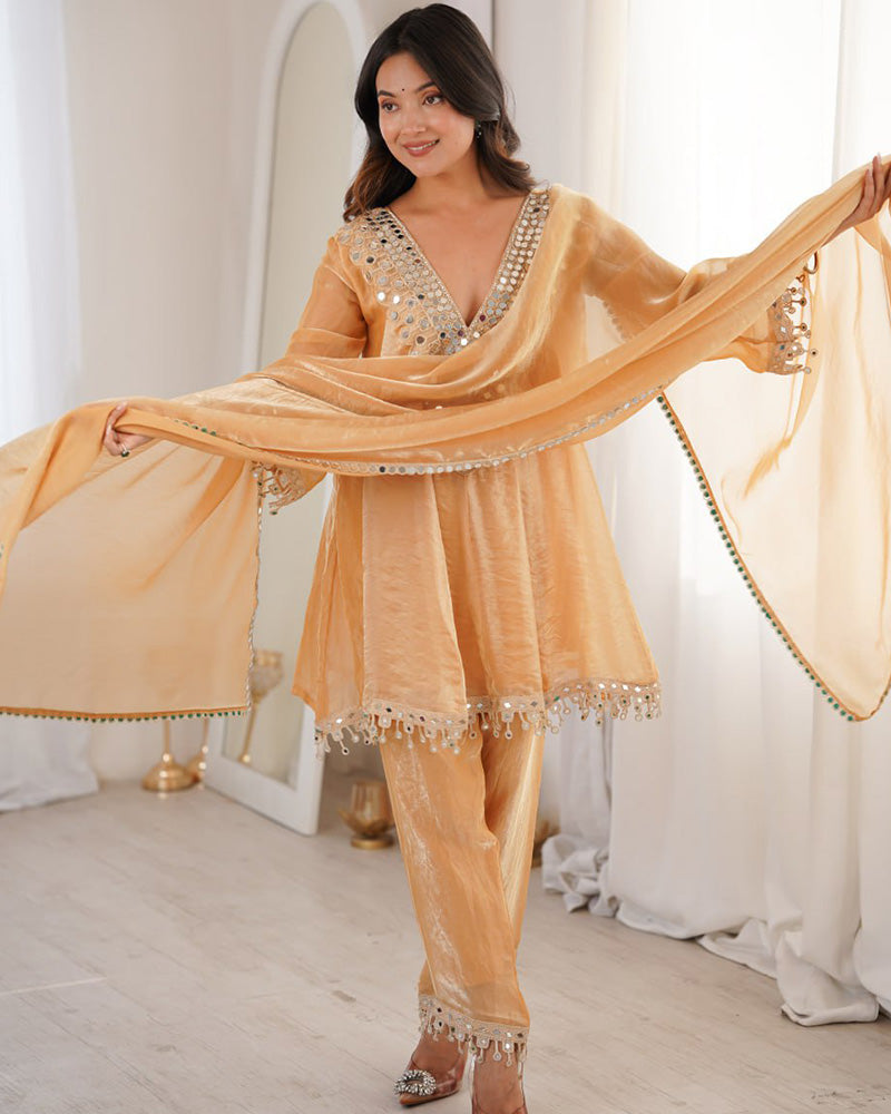 Chikoo Color Fendi Silk Embroidered Plazzo Suit