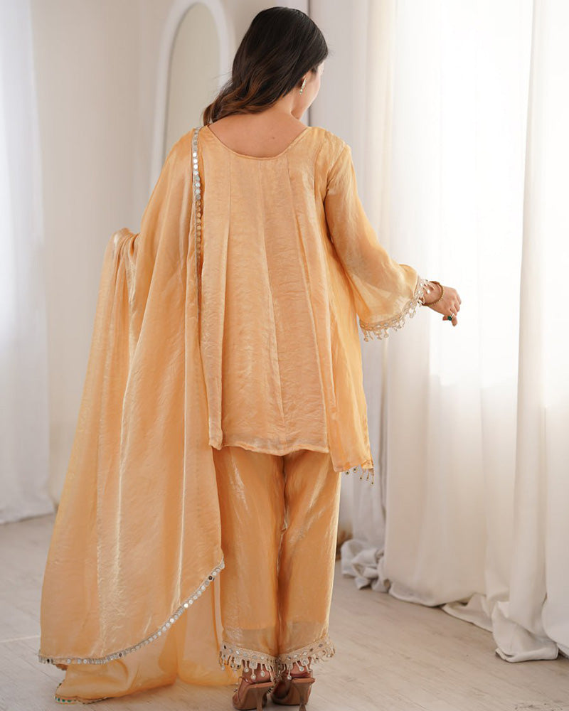 Chikoo Color Fendi Silk Embroidered Plazzo Suit