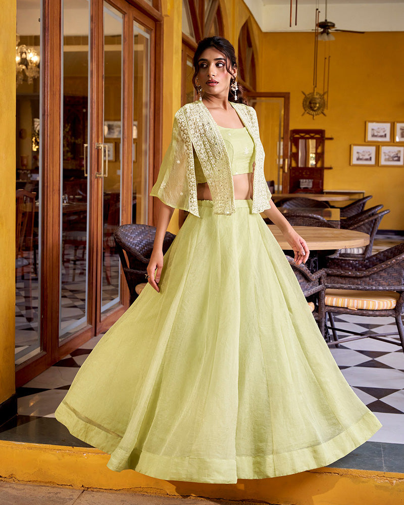 Pista Color Allnene Crush Embroidered Lehenga Choli