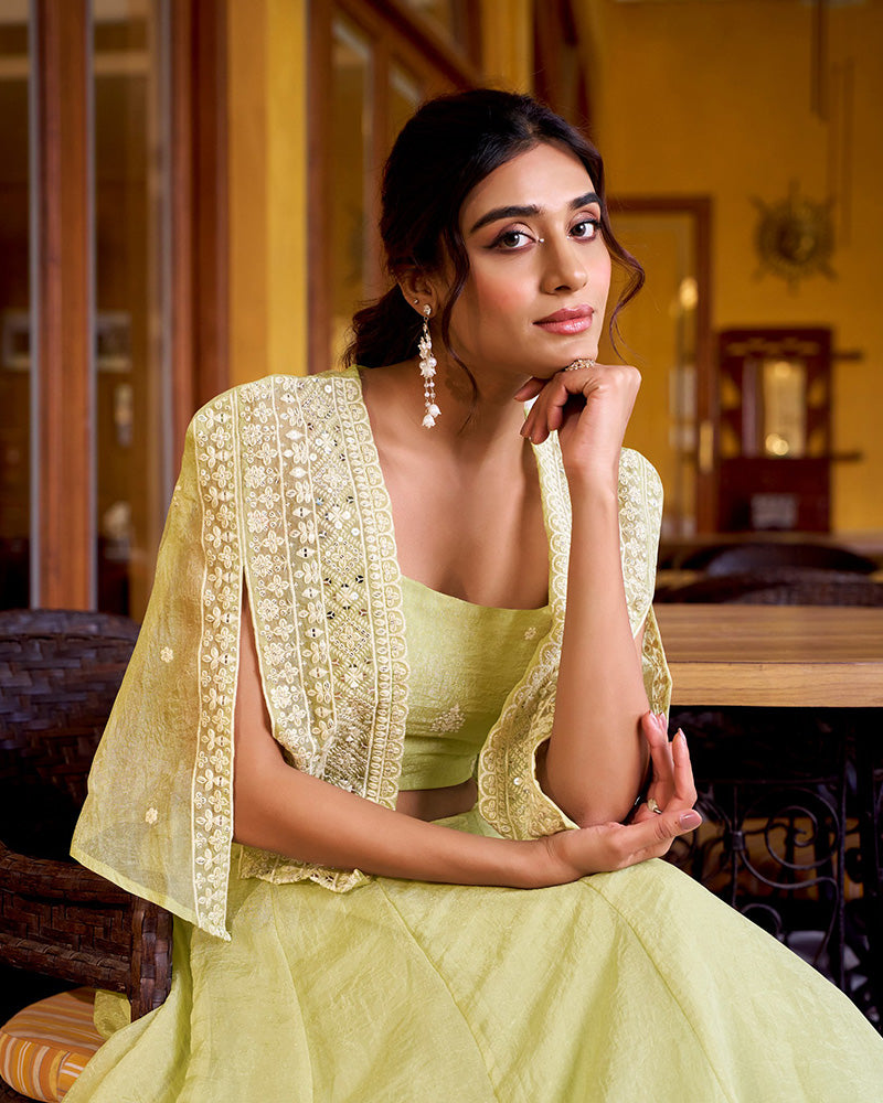 Pista Color Allnene Crush Embroidered Lehenga Choli