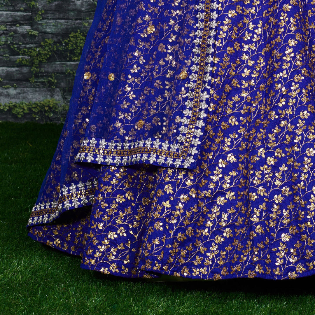Blue Raw Silk Sequence Lehenga Choli