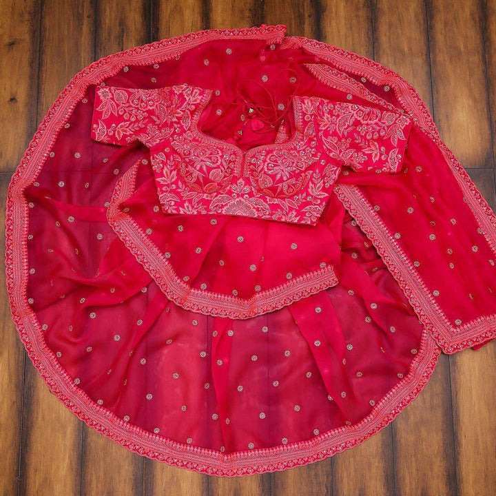 Designer Neon Pink Organza Saree